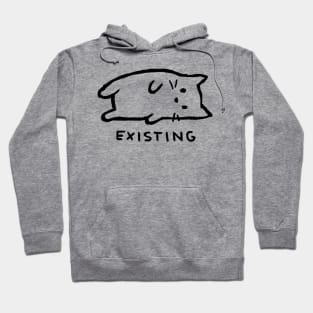 Existing Hoodie